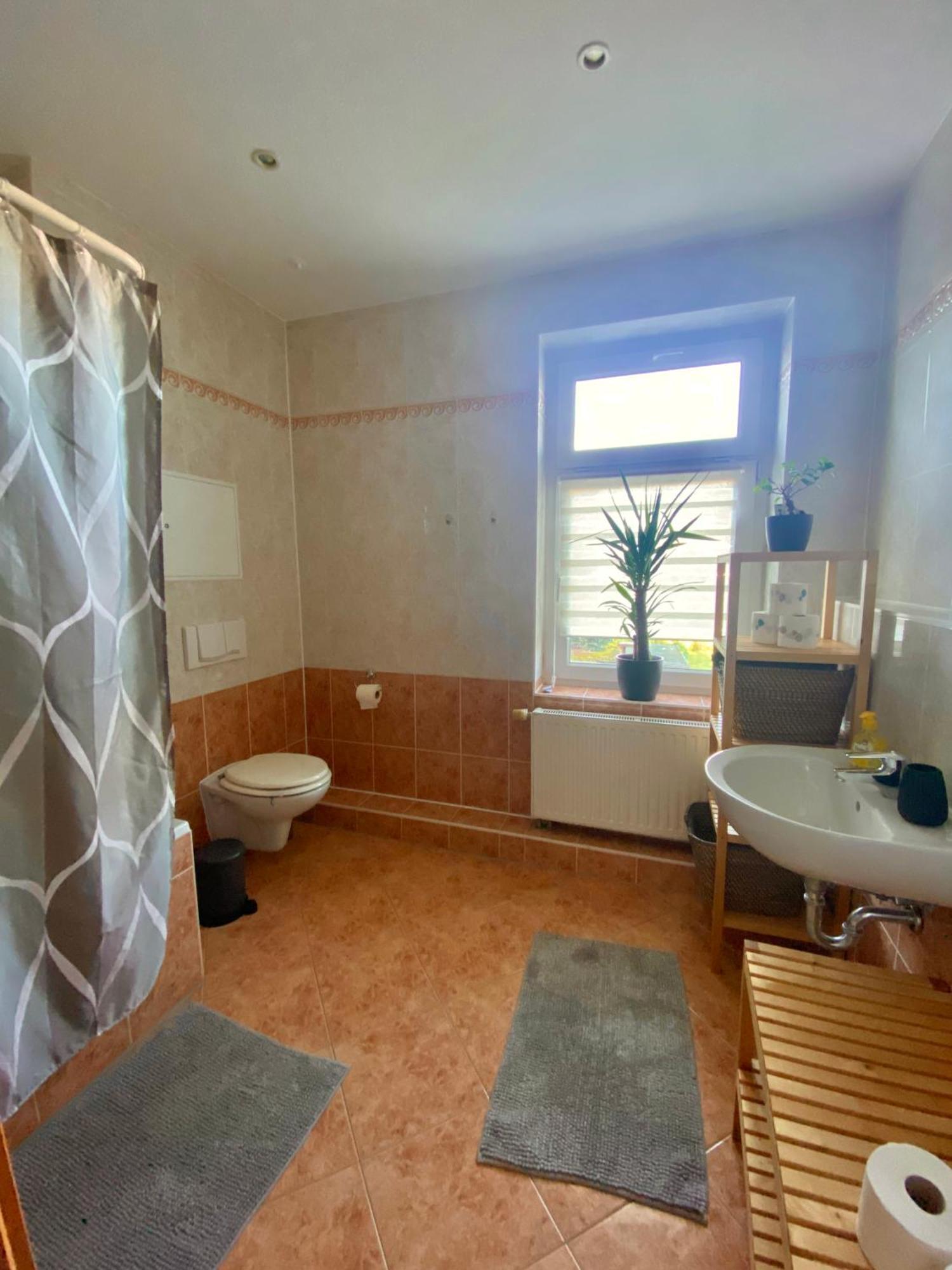 Schoene 3-Zimmer Monteurswohnung Im Sueden Von Leipzig Eg Exteriör bild